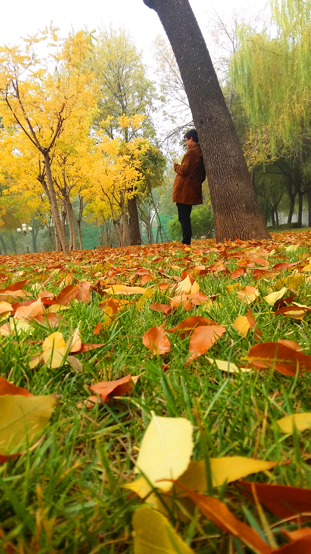 摄影 金秋|摄影|其他摄影|赵文博设计 - 原创作品