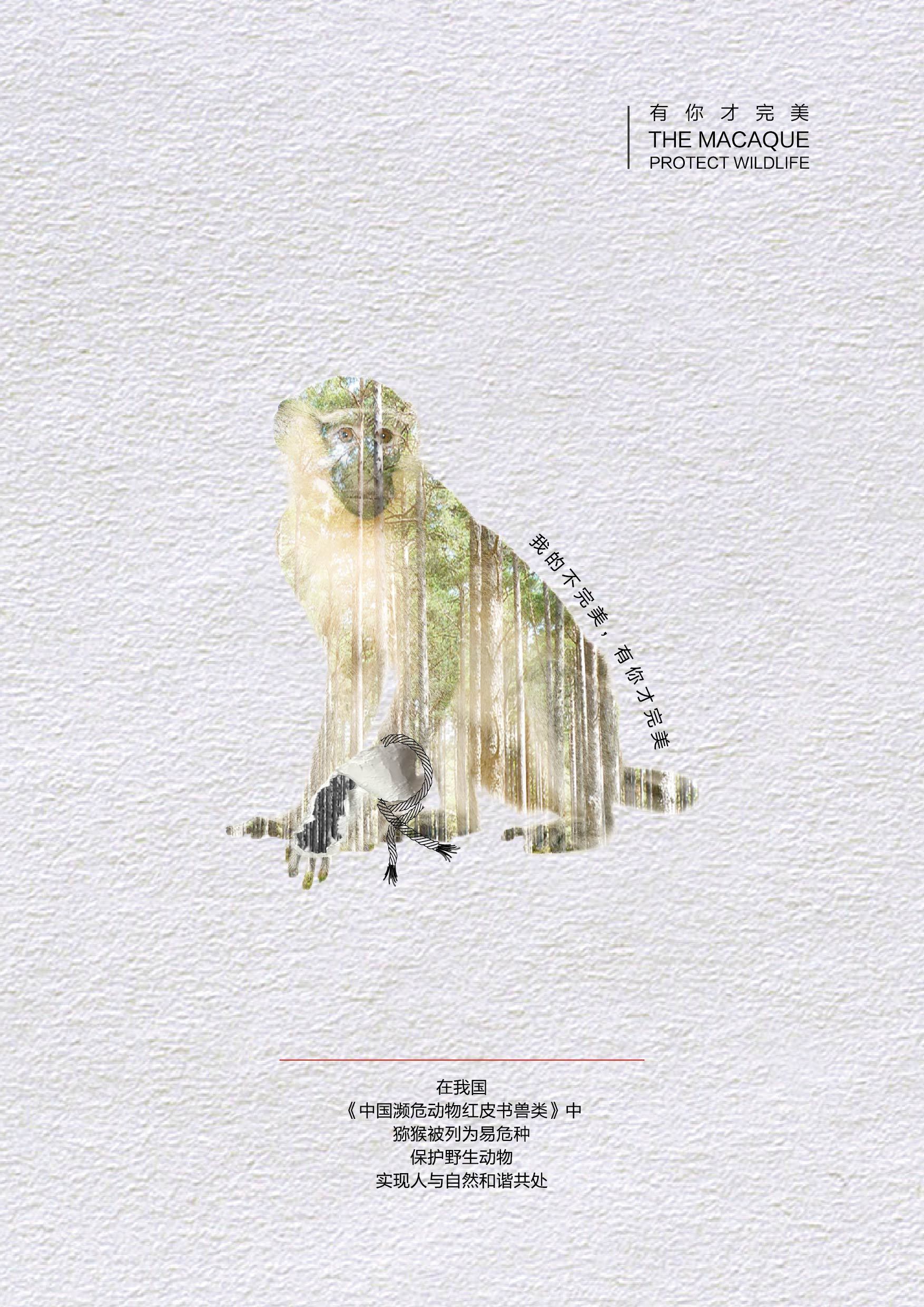 保护野生动物系列公益广告设计
