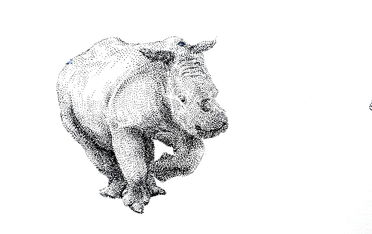 细节图——小犀牛