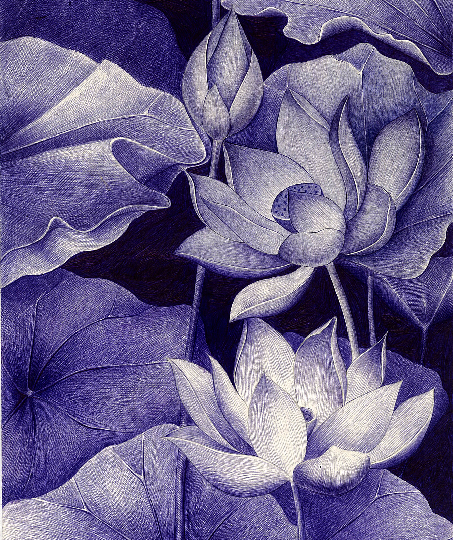 《蓝莲花》|其他艺创|纯艺术|阿庆手绘 - 原创设