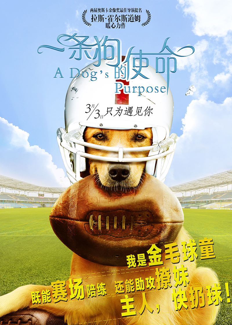 电影《一条狗的使命》几款时光穿越海报设计|