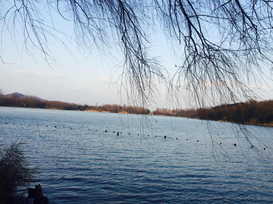 杭州历史低温天气,出来寻雪,结果都化了…(手机