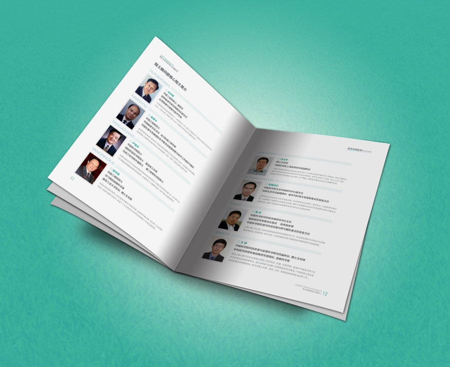 中国低碳能源规划研究院|书装\/画册|平面|伤心小