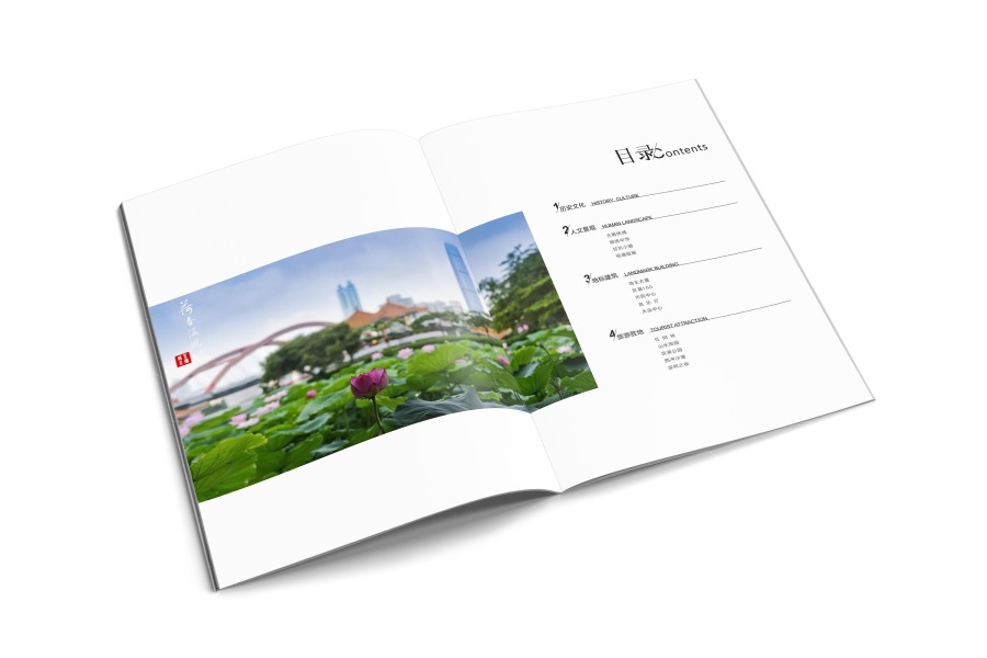 来了就是深圳人|书装\/画册|平面|DoublebinS - 原