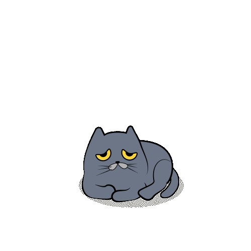 宠物猫动态设定 - 原创作品 - 站酷(zcool)