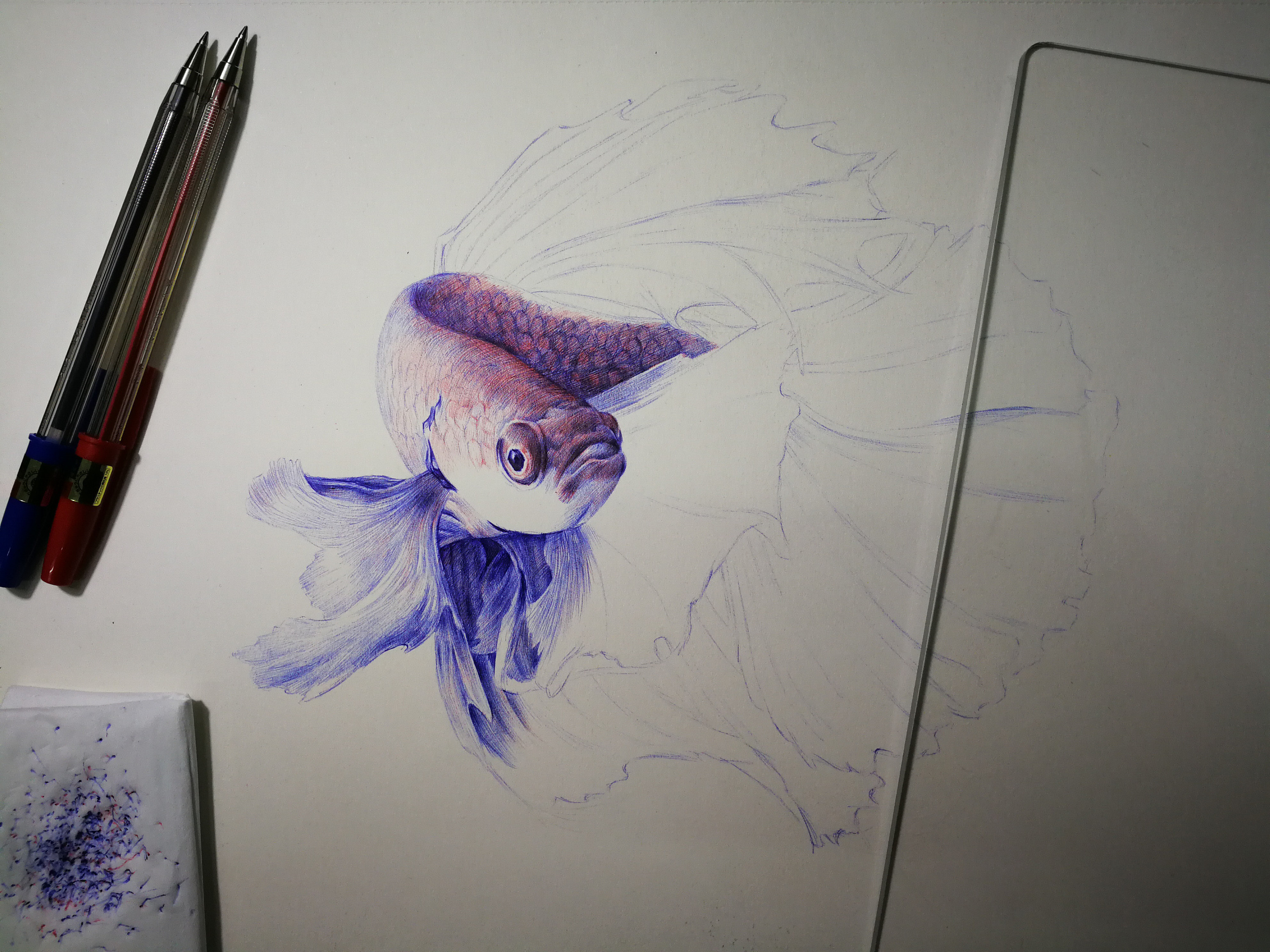 圆珠笔画-斗鱼|纯艺术|钢笔画|李程ART - 原创作品 - 站酷 (ZCOOL)