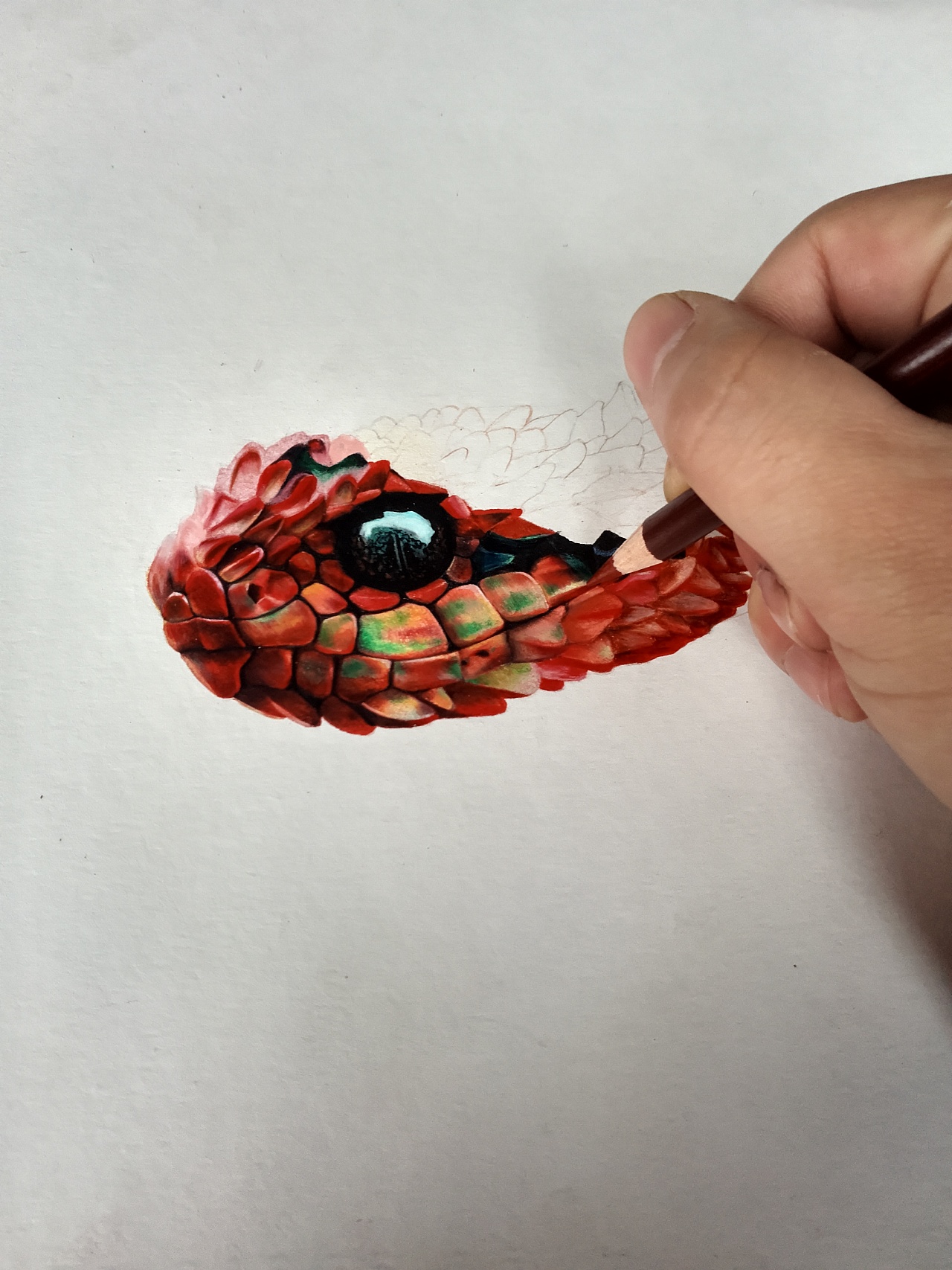 这是一条蛇|纯艺术|绘画|吃了伯里曼 - 原创作品 - 站酷 (zcool)