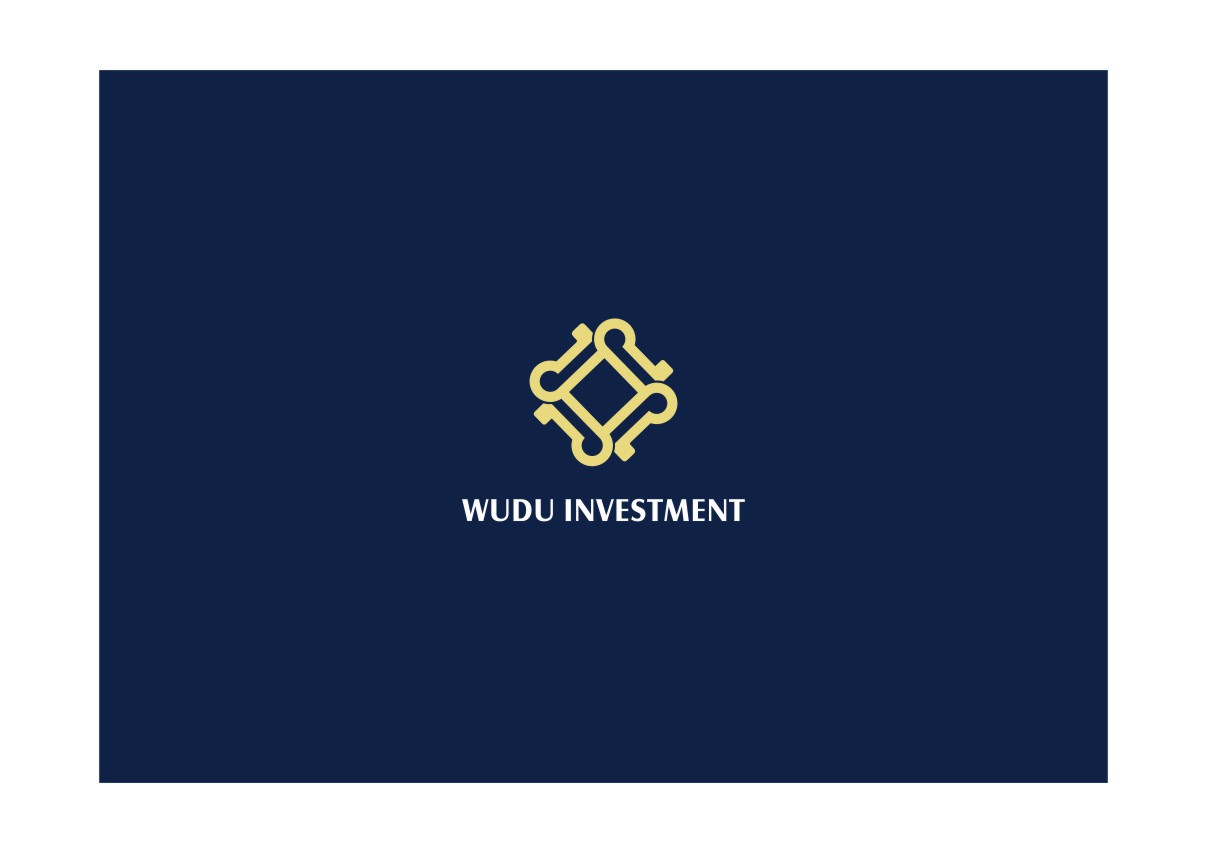 金融投资类方案 标志设计  logo设计