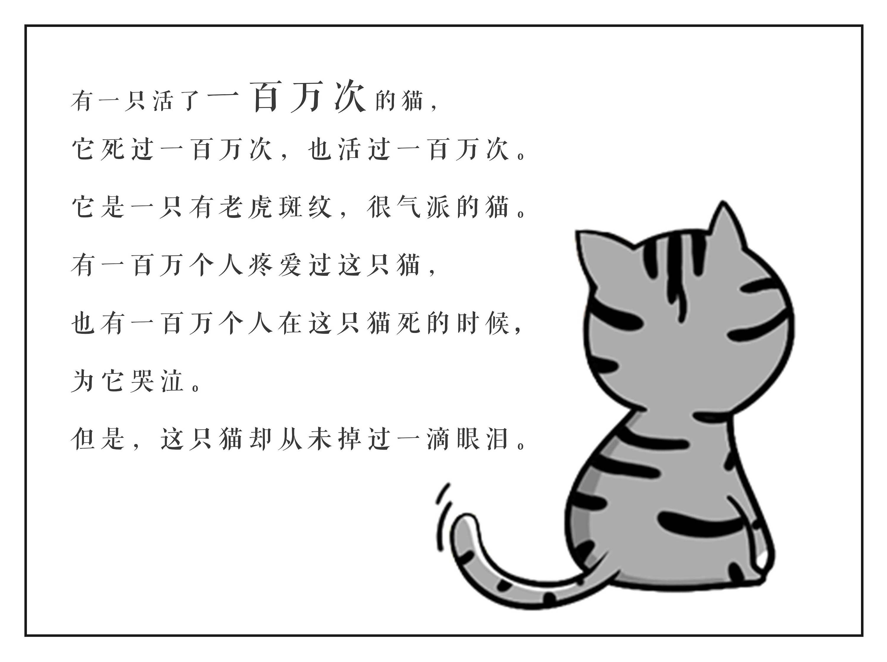 活了100万次的猫图片