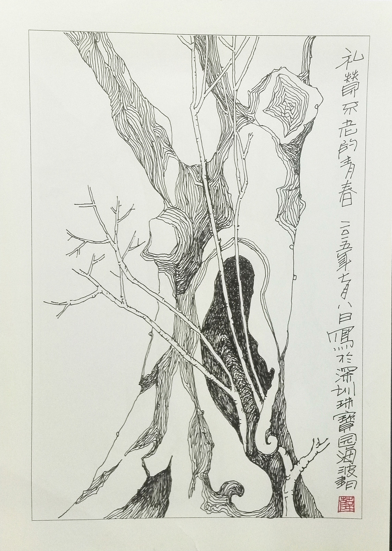 枯木逢春