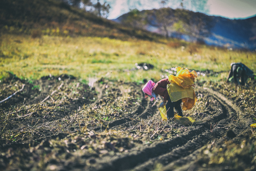 Ulan Buh GlOBAL 乌兰布统的重温(温暖) PART