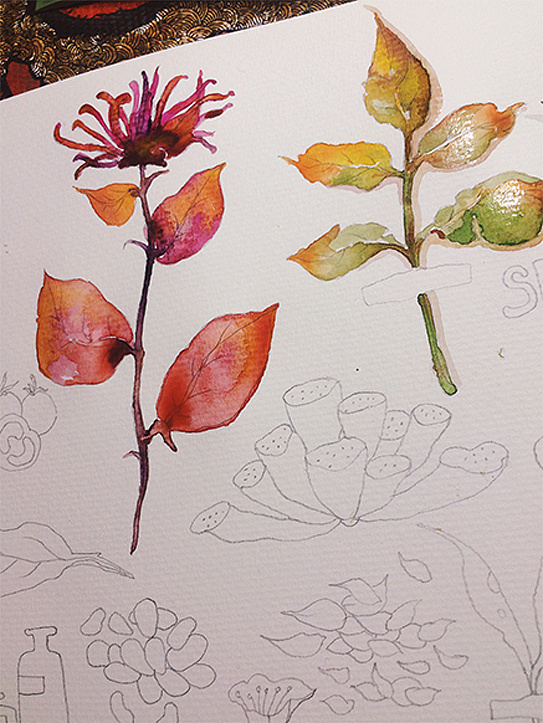 随手画画系列 013742568a48356ac7251bb6ab9c8d.jpg@1280w_1l_2o_100sh.jpg