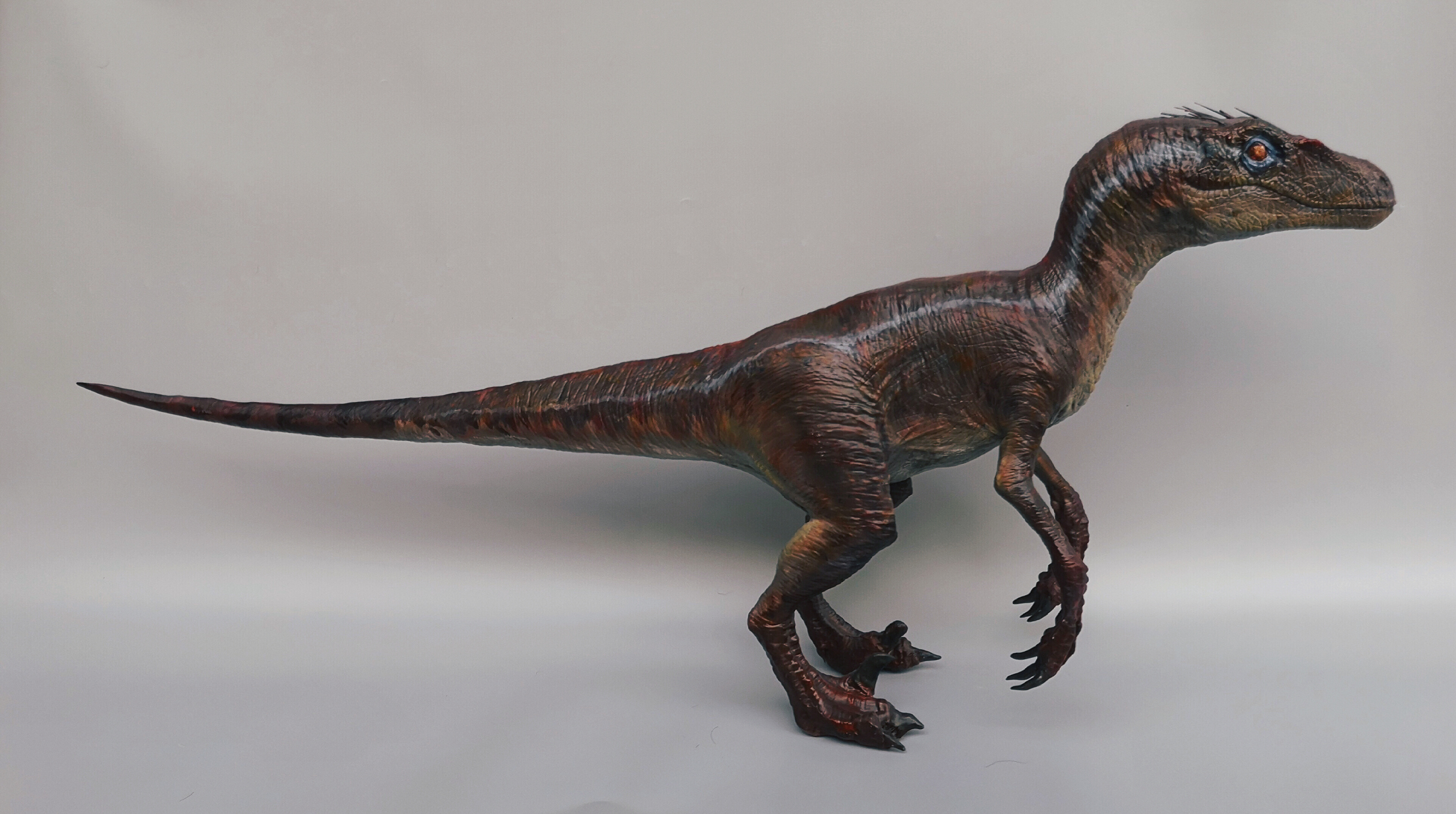 迅猛龙一笔一画怎么画