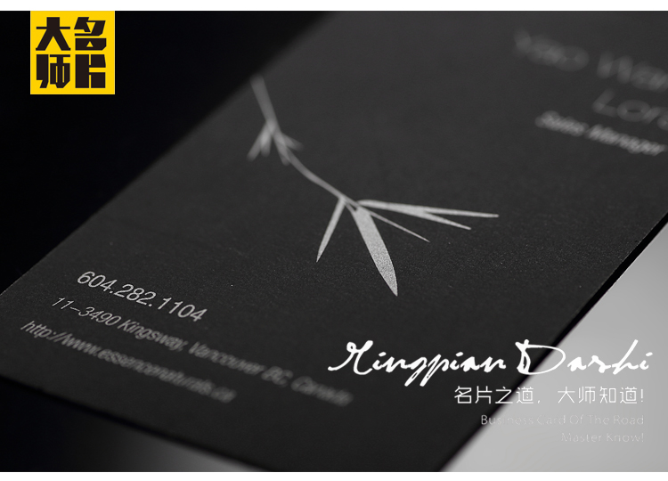 意大利优雅丝柔黑卡名片设计印刷|VI\/CI|平面|y