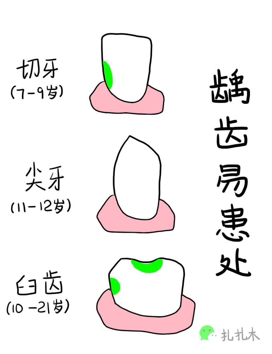 一个牙科老患者的胡说八道|其他绘画|插画|扎扎