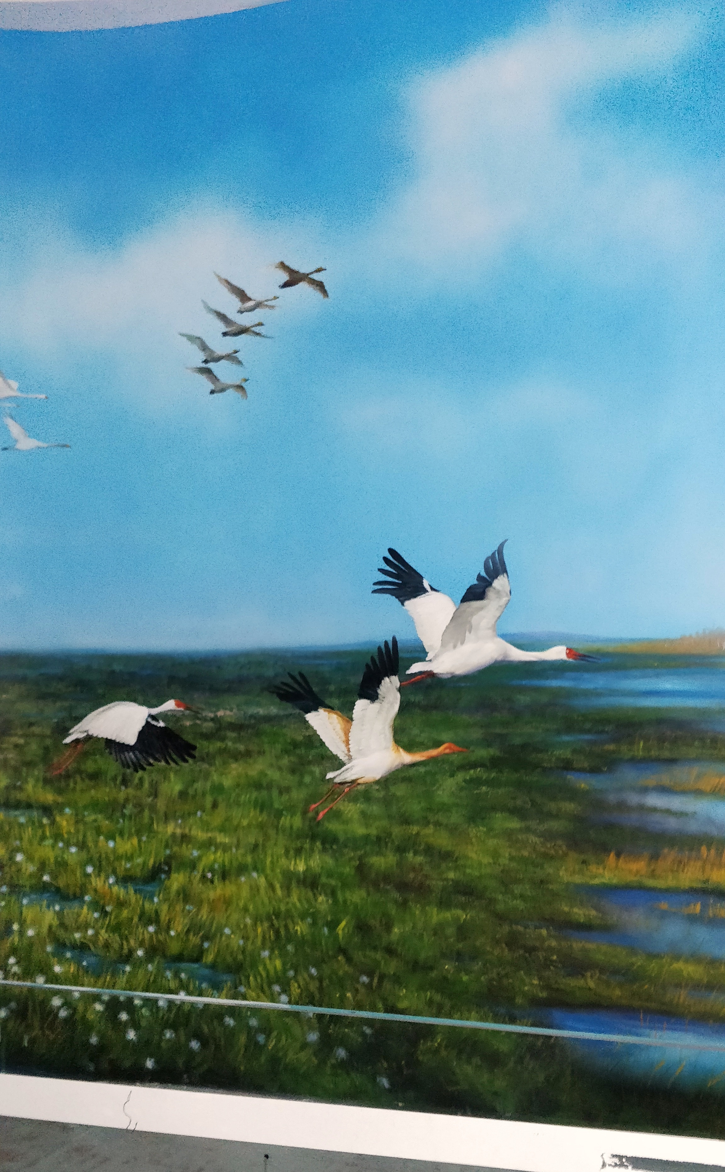候鸟保护区主题墙绘壁画