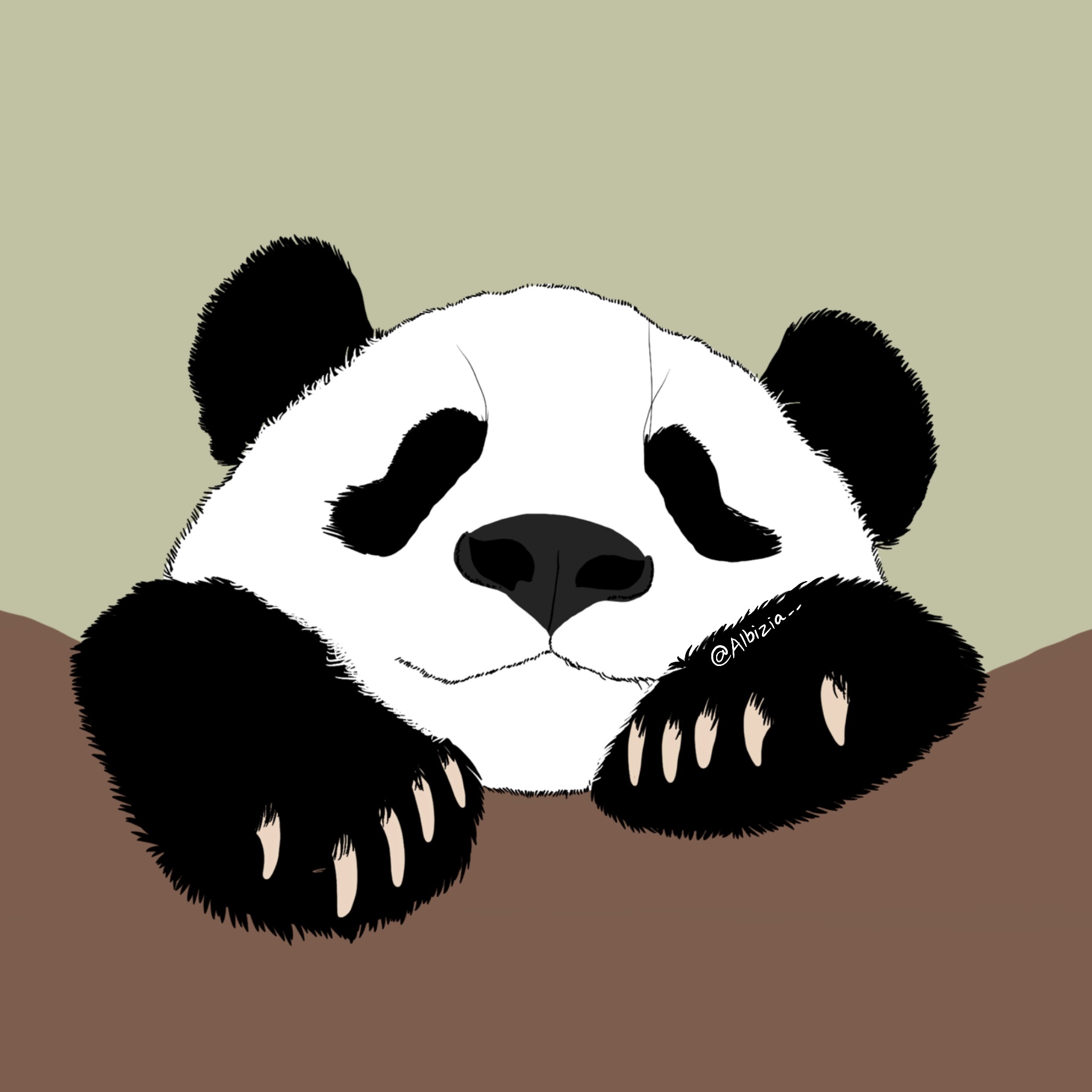 一组大熊猫插画