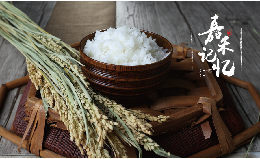 黑龙江嘉禾记忆有机米产品手册设计|书装\/画册