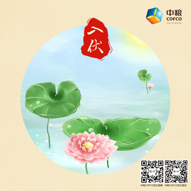 节气图|网页|banner/广告图|marygogogo - 原创作品