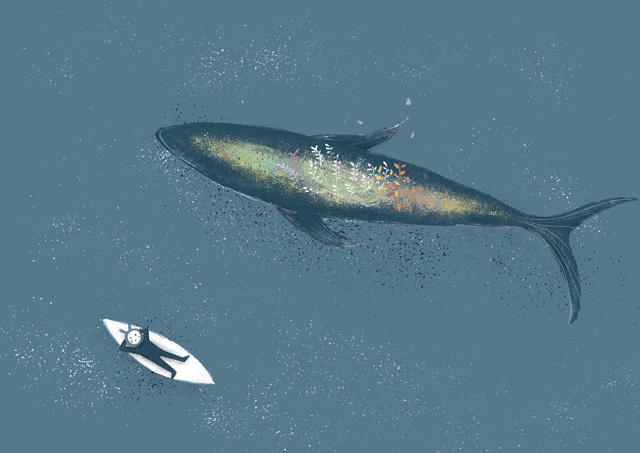 化身孤岛的鲸|插画|其他插画|蘑菇蘑菇别长大 - 原创作品 - 站酷 (ZCOOL)