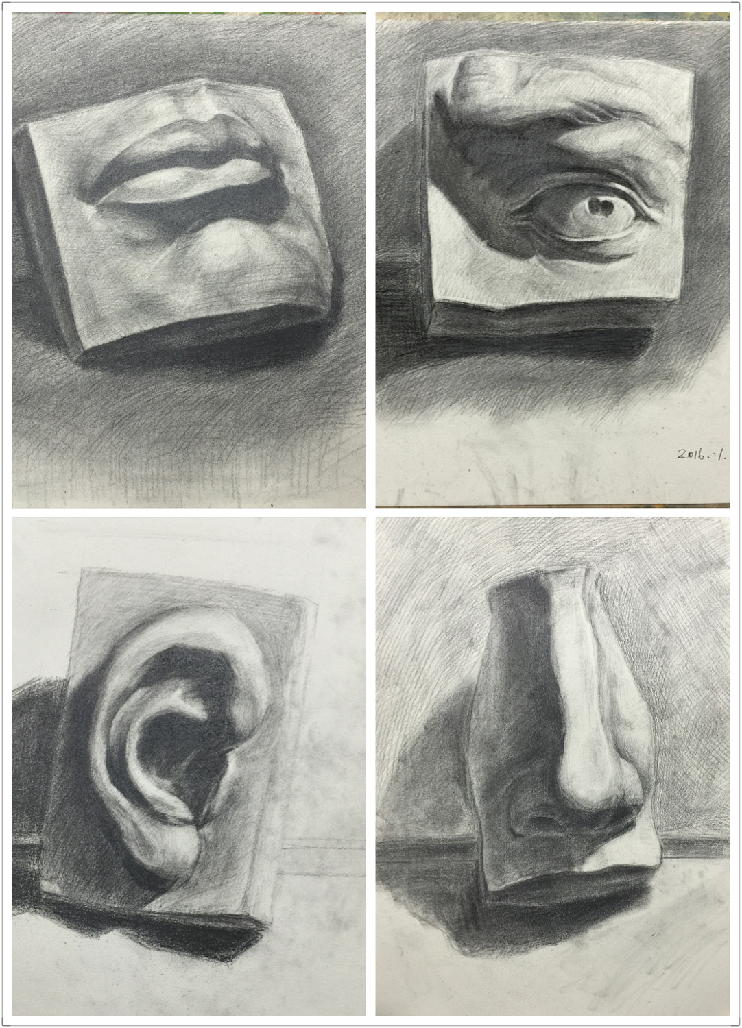 石膏五官肌肉_石膏五官结构素描_石膏五官临摹-圈子花园图片