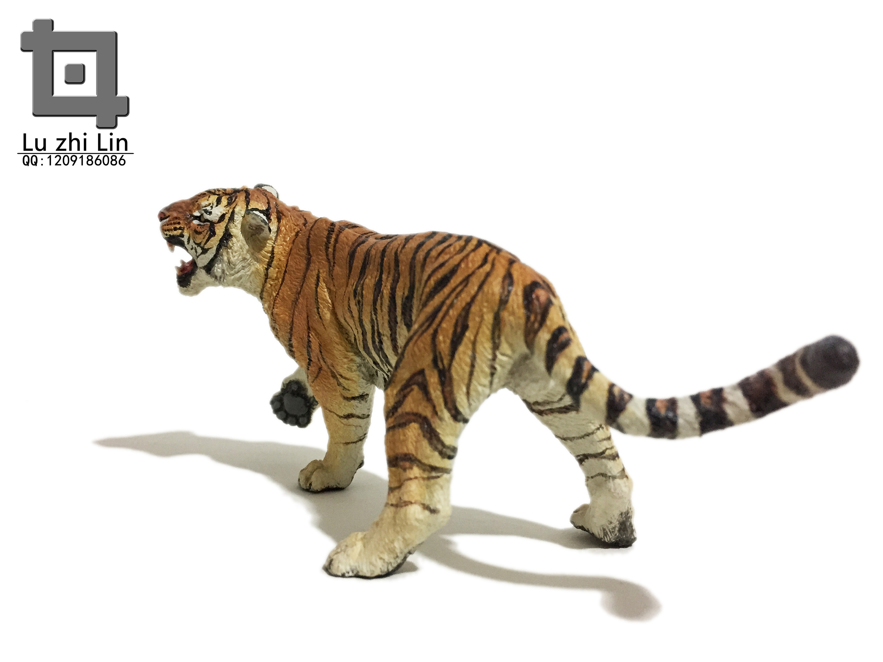 动物模型 老虎展示