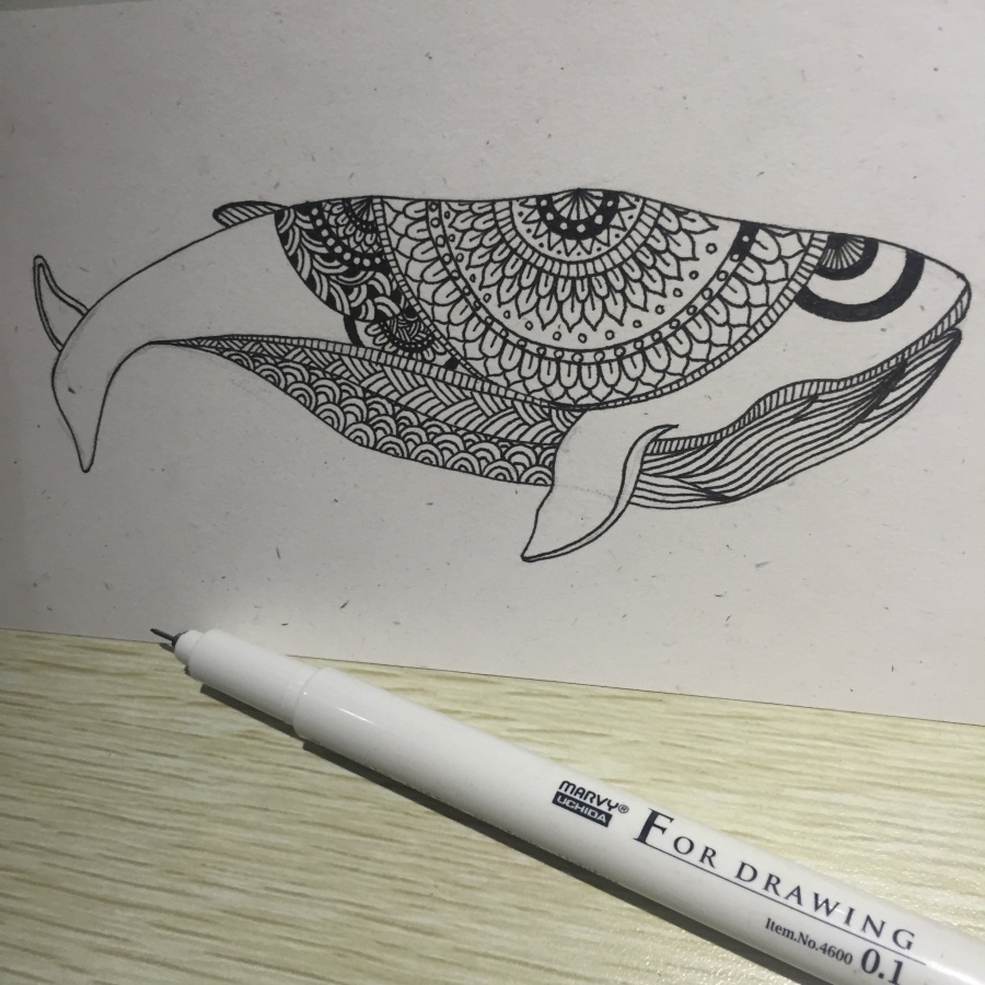 一只鲸鱼|绘画习作|插画|豹小玉 - 原创设计作品