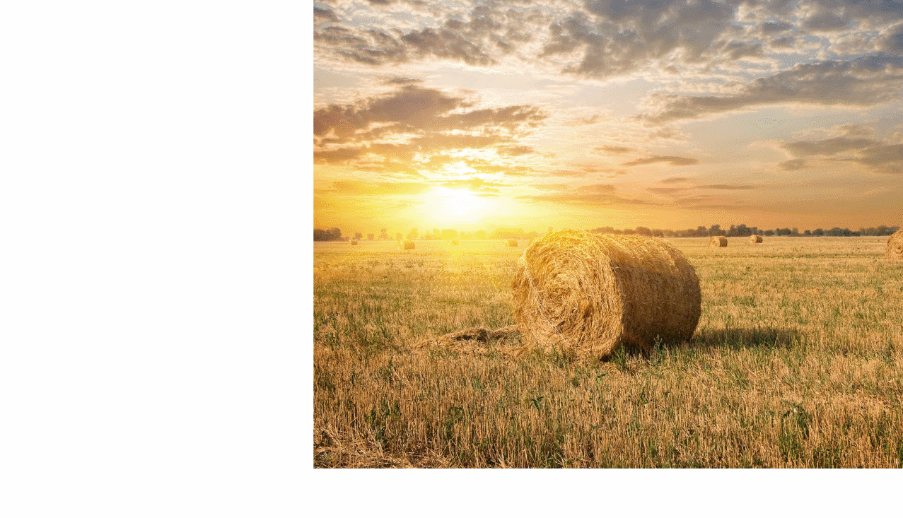 电商首页|网页|电商|舜禹 - 原创作品 - 站酷 (zcool)