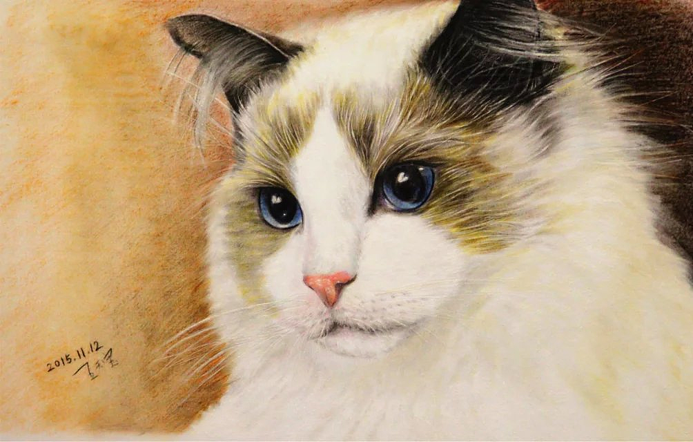 动物 资料_关于动物的资料_动物或植物的资料