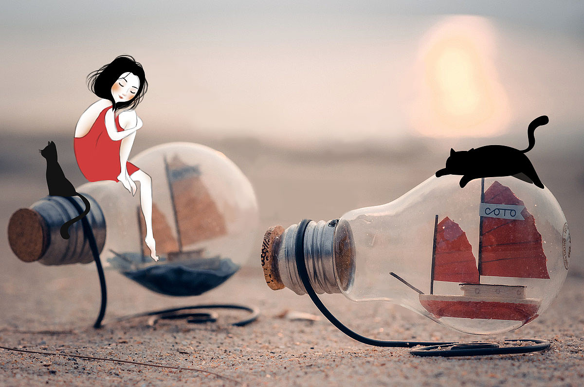 有点燥,带喵看看外面的世界