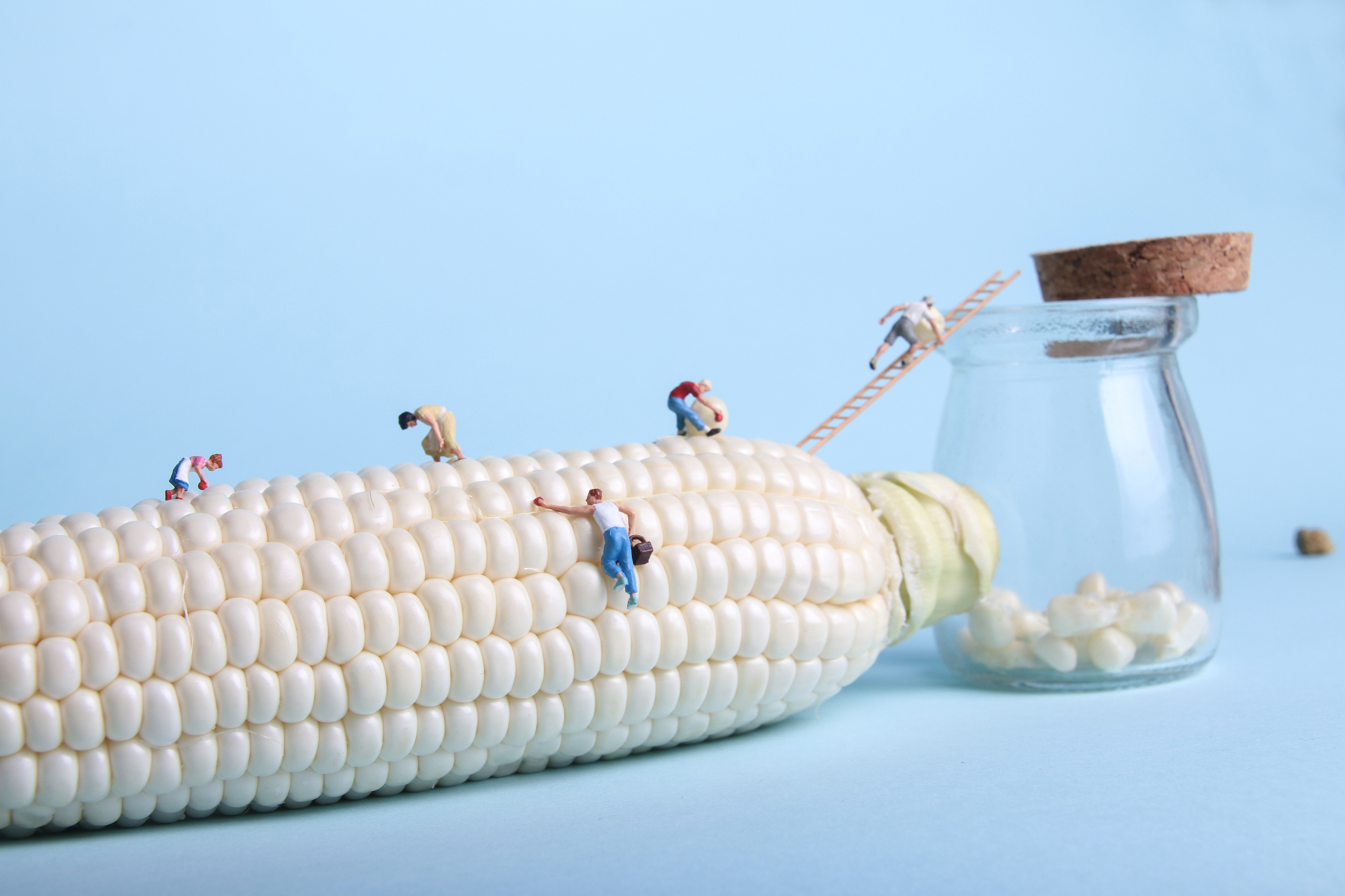 微观创意摄影玉米
