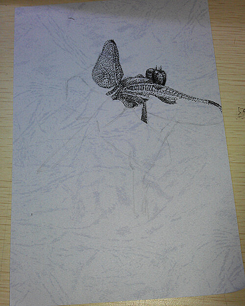 蜻蜓 钢笔点画