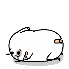 绝望阿梨,动态表情包