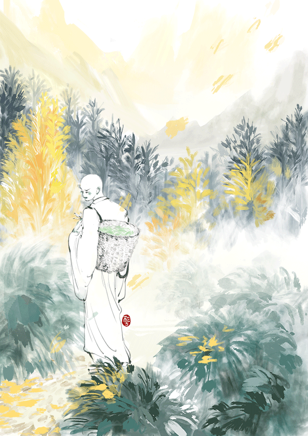 采茶|插画|其他插画|不正tt - 原创作品 - 站酷