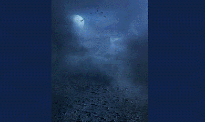 杰视帮线上毕业设计——月下琴音