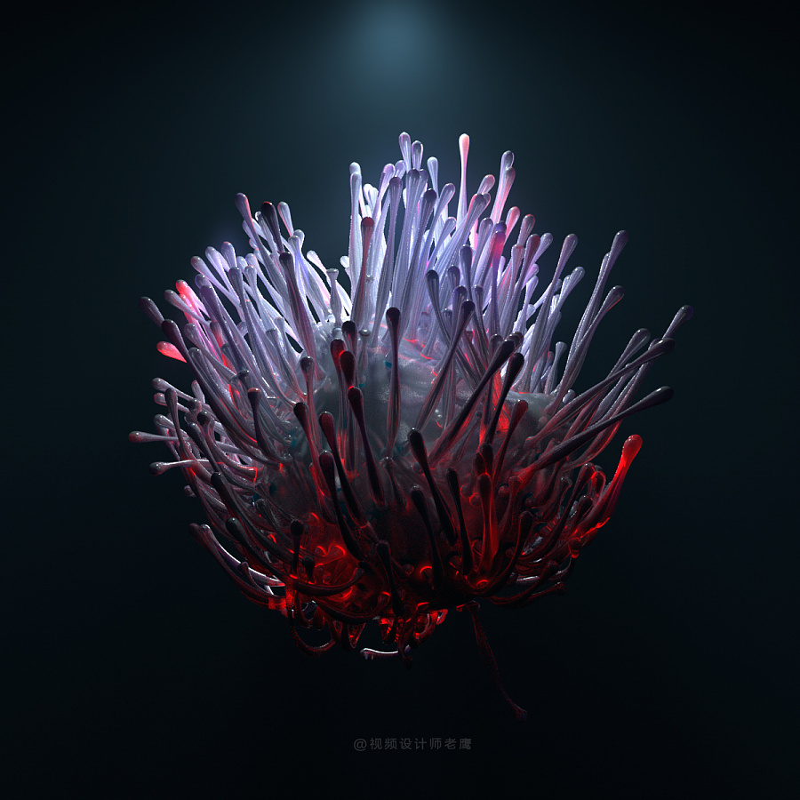 老鹰每日一图C4D作品第一波|其他三维|三维