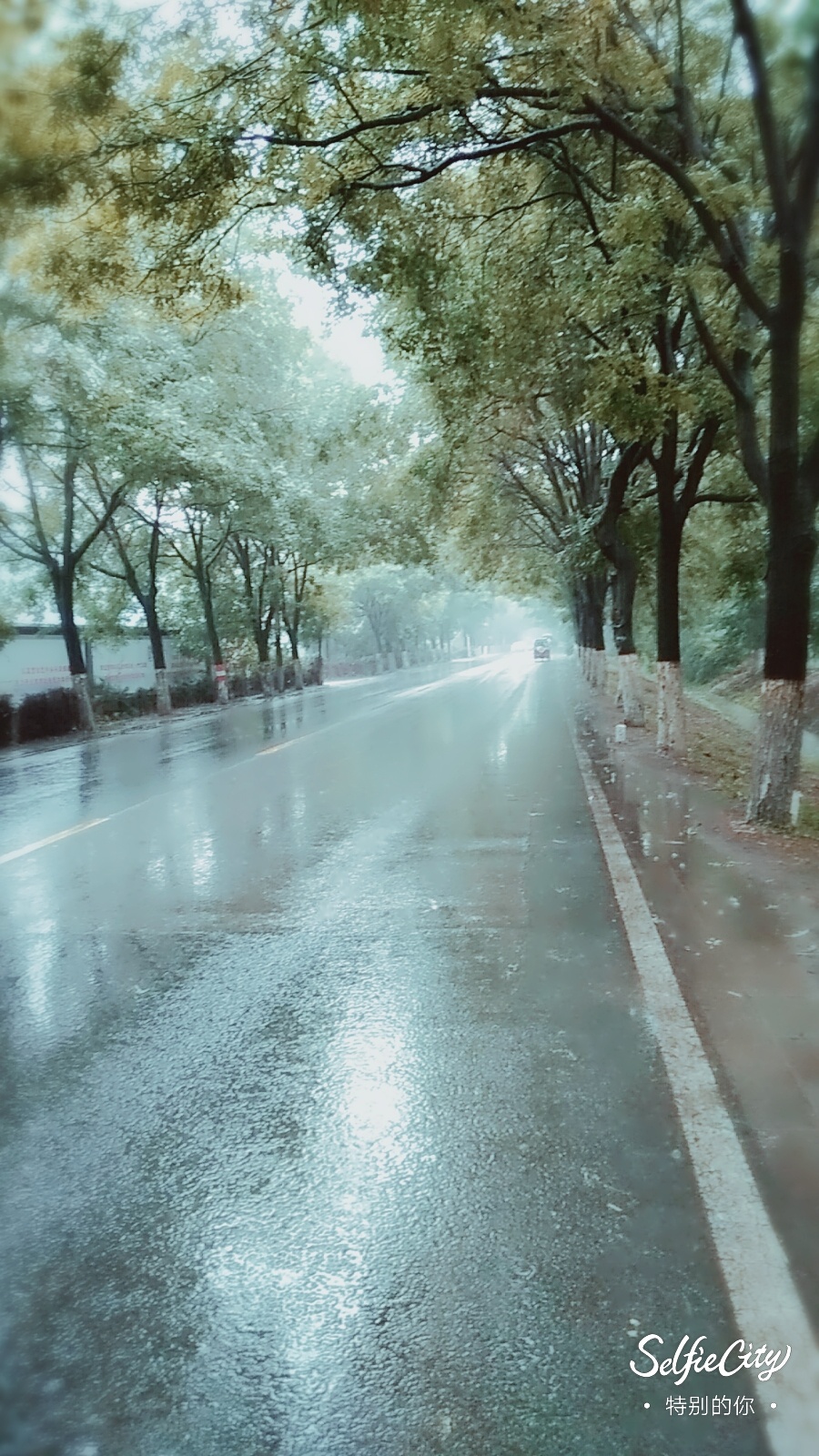 雨中漫步|摄影|风光|温蒂m - 原创作品 - 站酷 (zcool)