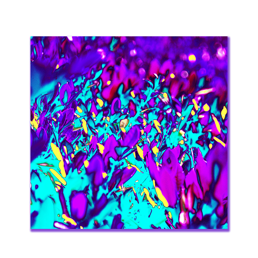 摄影小结|其他摄影|摄影|芝士排骨 - 原创设计作