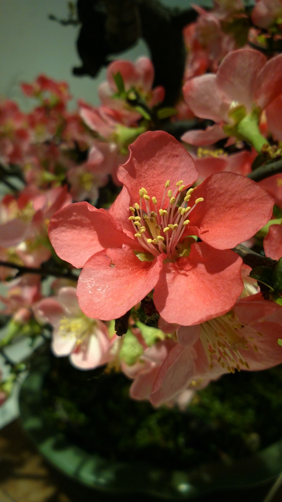 瘦西湖一日游|风光|摄影|卅息卜梨 - 原创设计作