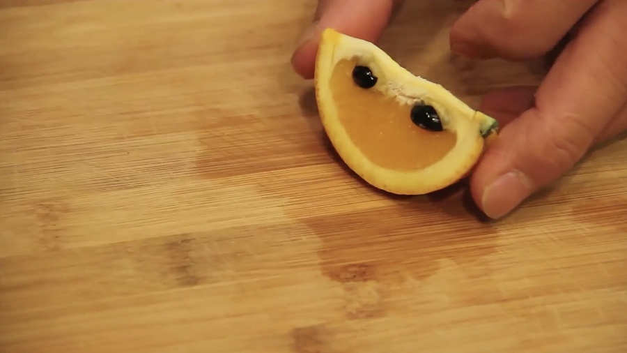 朱春兰食养频道创意水果 第一季 螃蟹爱上金鱼