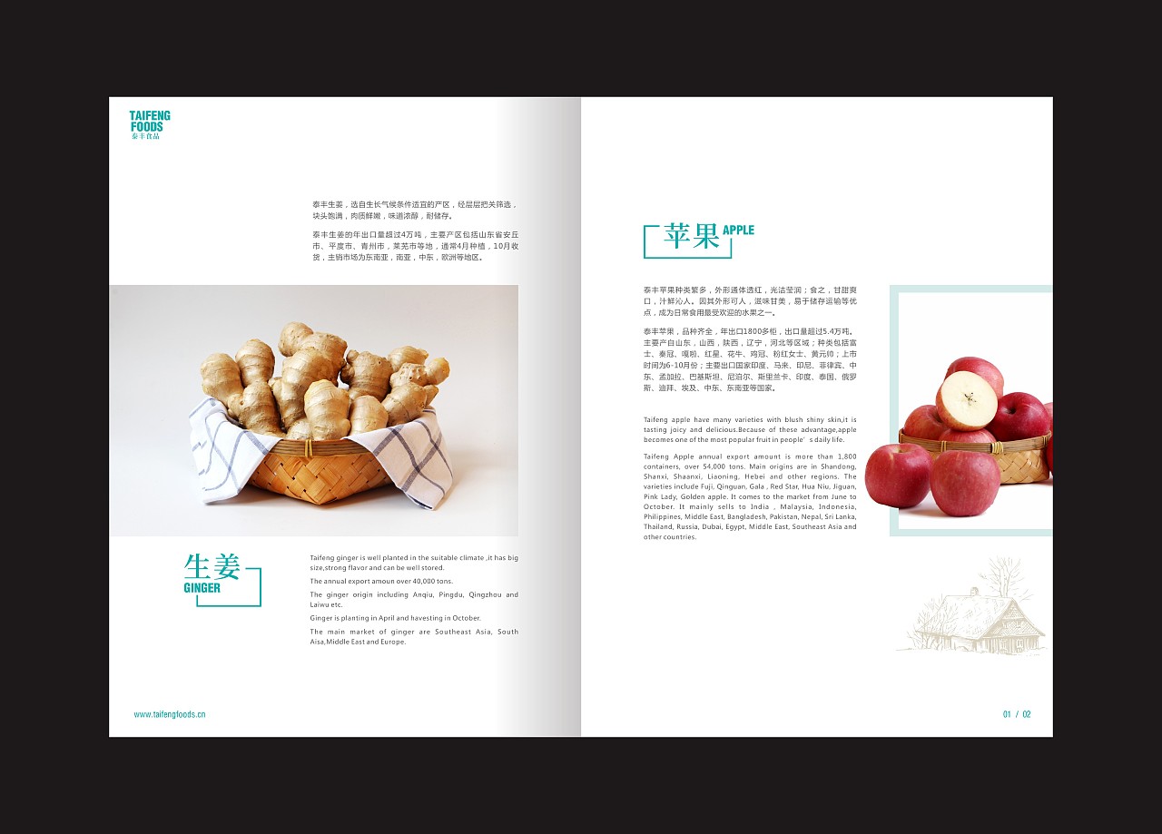 深圳宣传画册设计,泰丰食品画册设计,宣传册设计