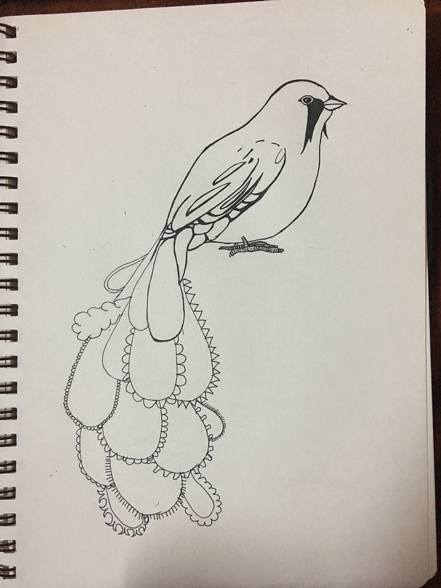 黑白线条插画 鸟羽|钢笔画|纯艺术|拥抱沙滩的鱼