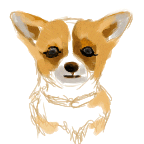 柯基|插画|创作习作|saturn12 - 原创作品 - 站酷