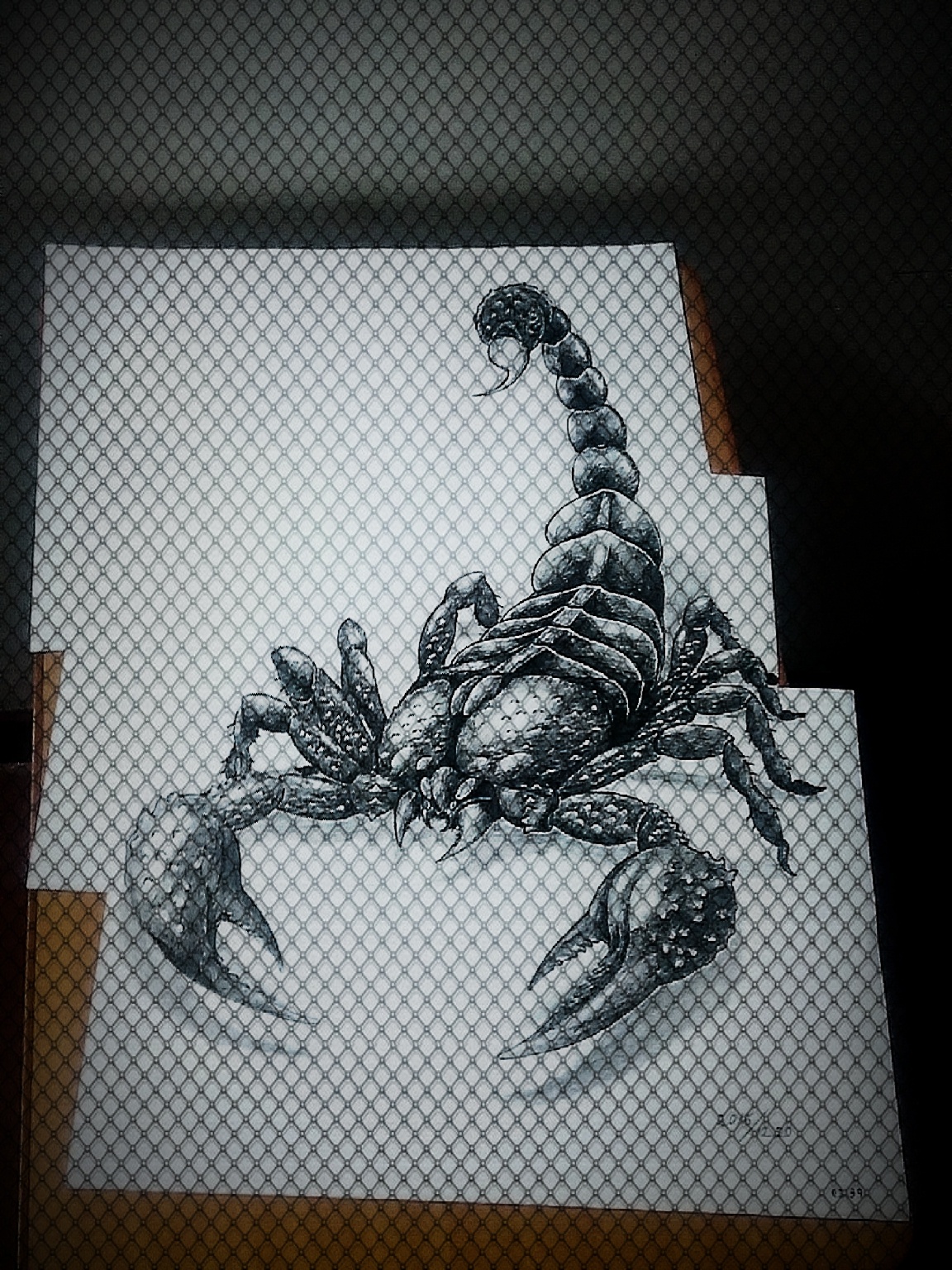 3d蝎子手绘设计