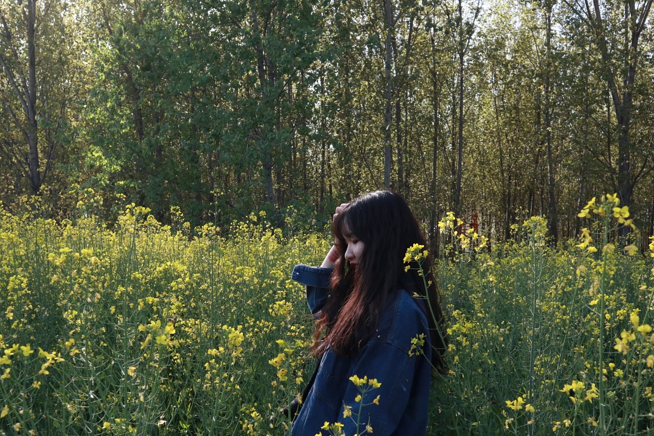 油菜花和女孩