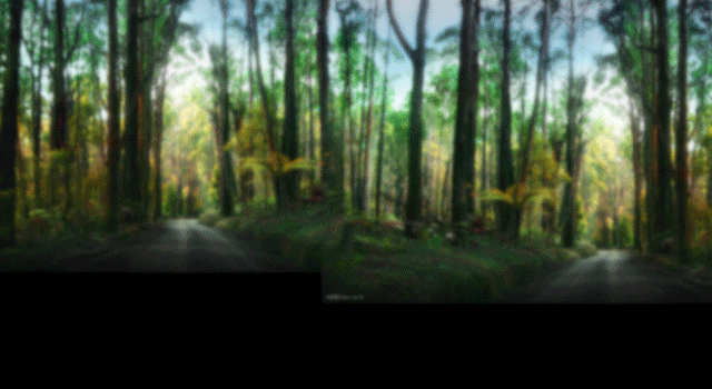 壁纸 风景 森林 桌面 640_350 gif 动态图 动图