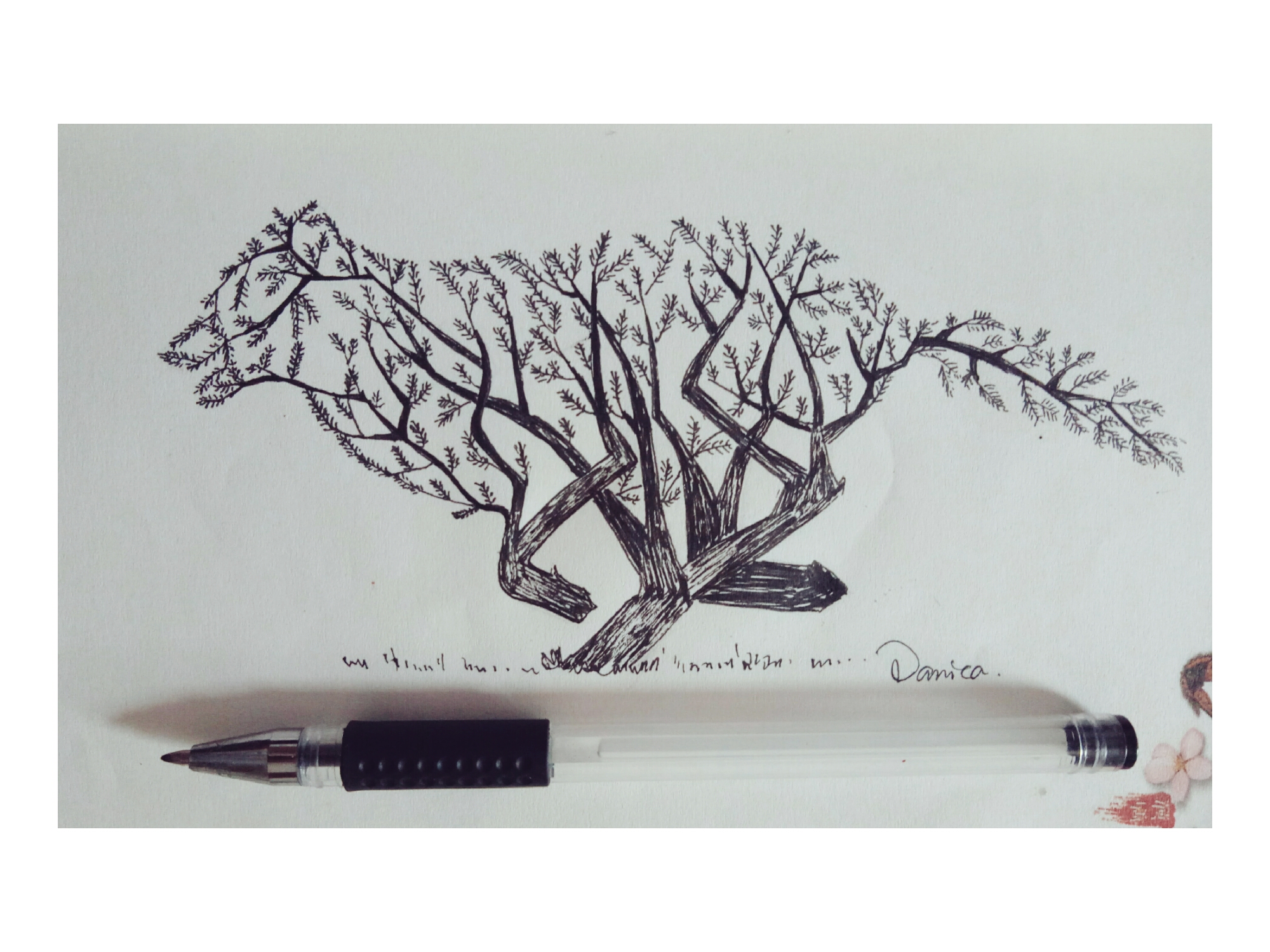 黑白,树|插画|创作习作|danica冬瓜 - 原创作品 - 站酷 (zcool)