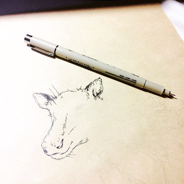 驯鹿