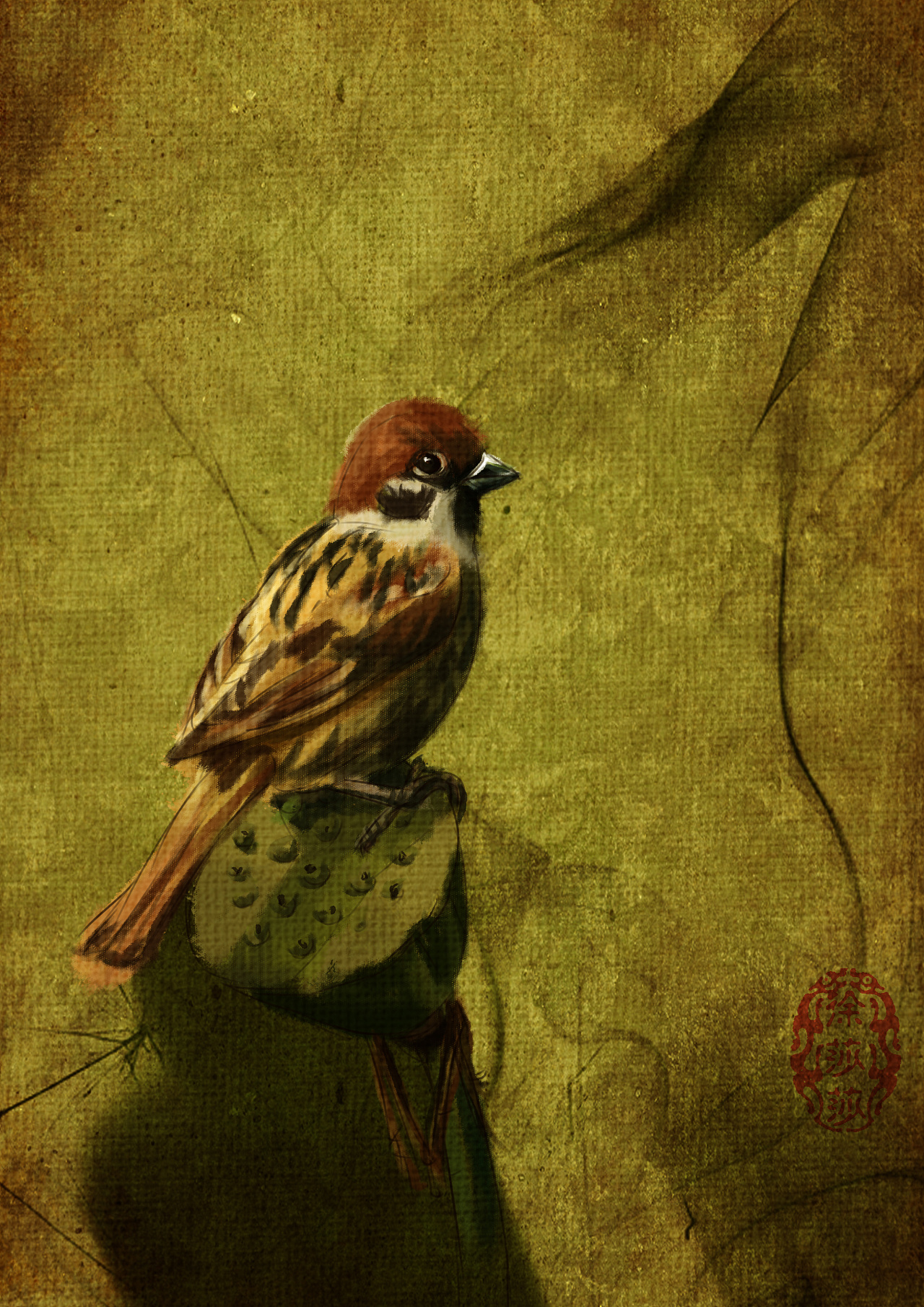 百鸟图#动漫作品