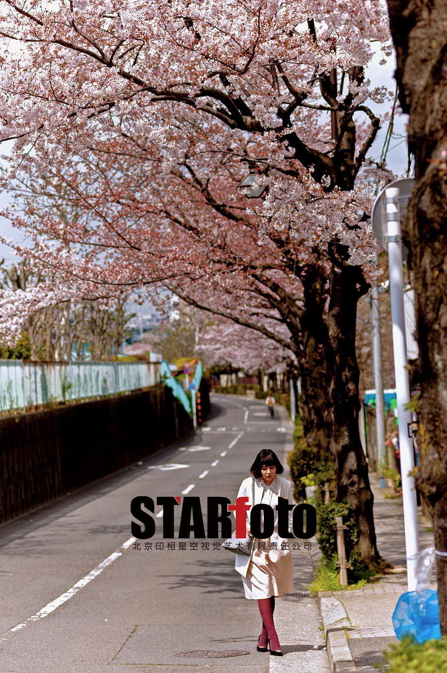 你-印相星空(STAR Foto)东京樱花季海外旅拍写